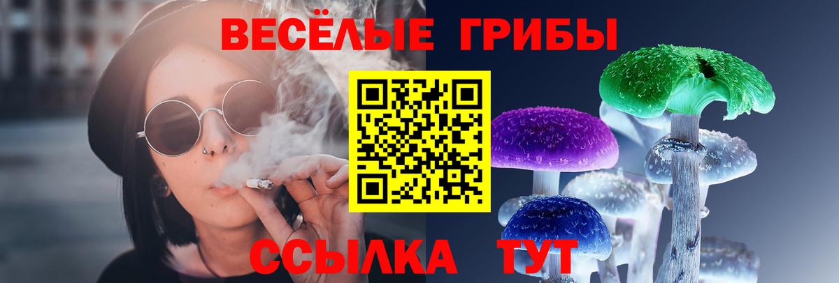Галлюциногенные грибы мухоморы  Вход с VPN  Галлюциногенные грибы Psilocybine cubensis  Ковров 